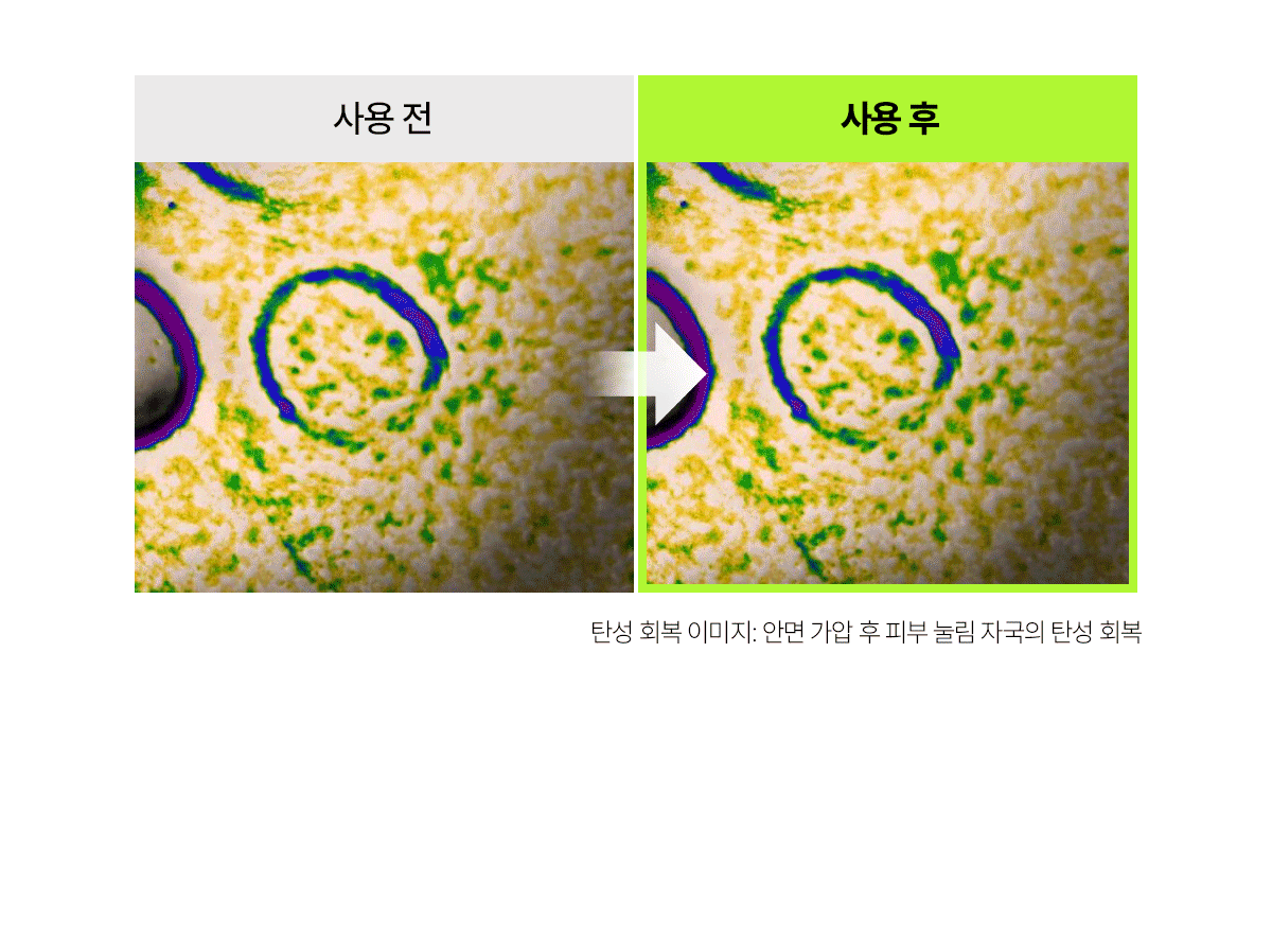 signiq 펩타이드 바운스 업 크림 GIF 10-2