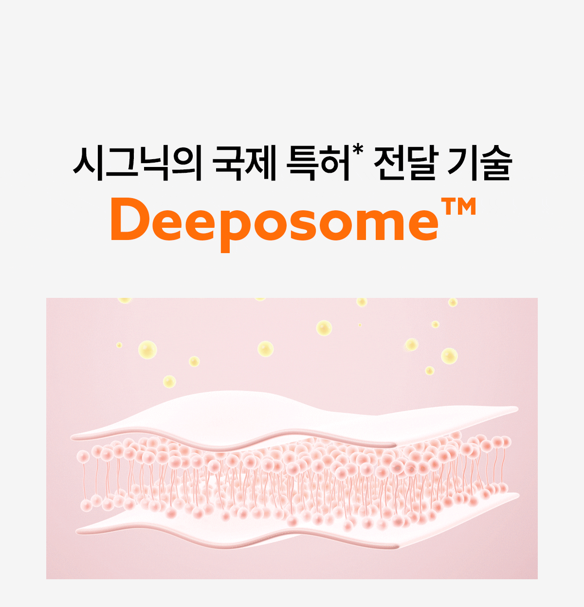 signiq 펩타이드 인스턴트 플럼핑 마스크 GIF 08-1