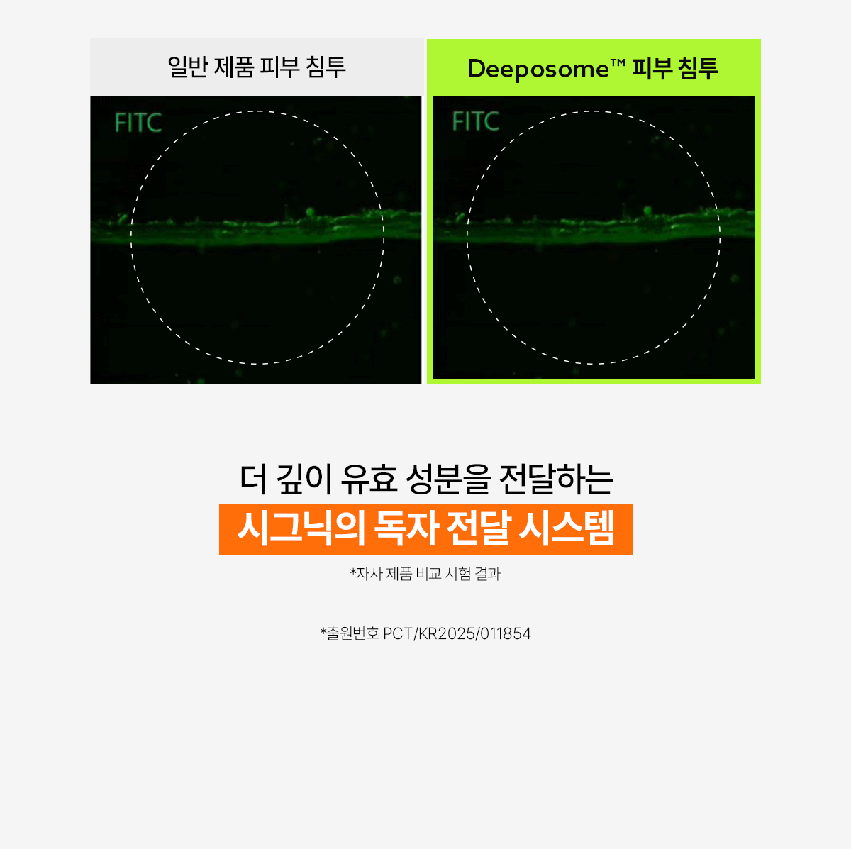 signiq 펩타이드 인스턴트 플럼핑 마스크 GIF 08-2